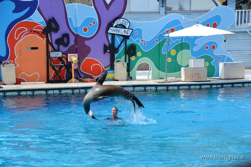 Marineland aout 2014 66.JPG - Marineland - Parc d'attractions aquatiques - Antibes - Août 2014